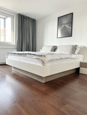Comfy Stay Apartment